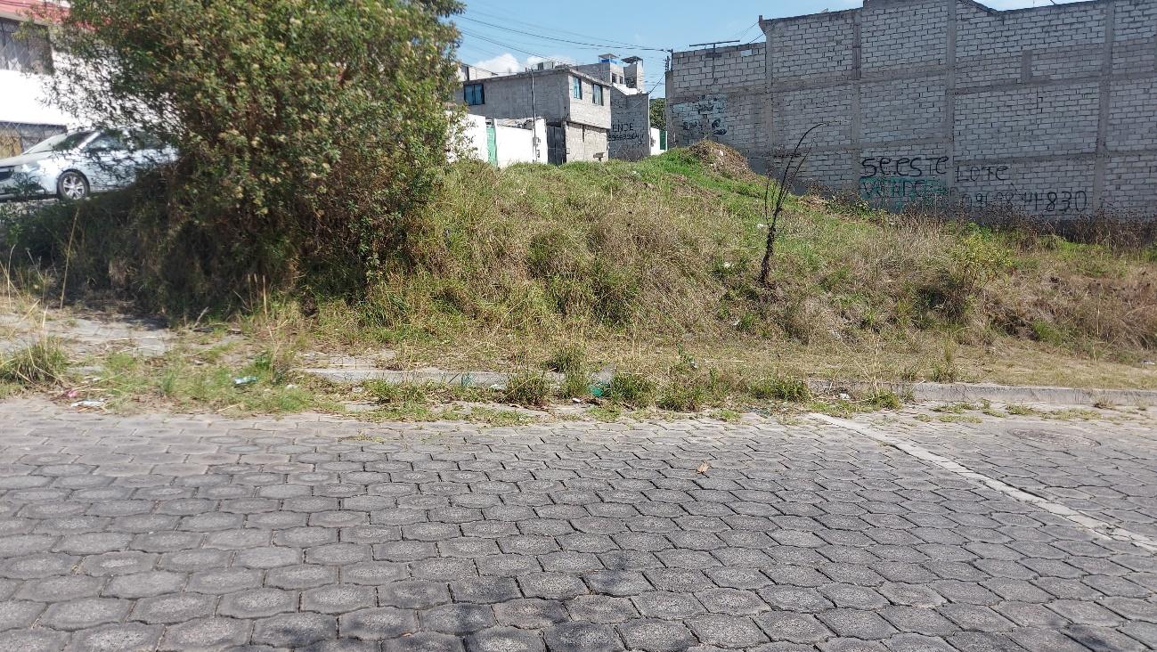 Vista principal del terreno en Luz y Vida